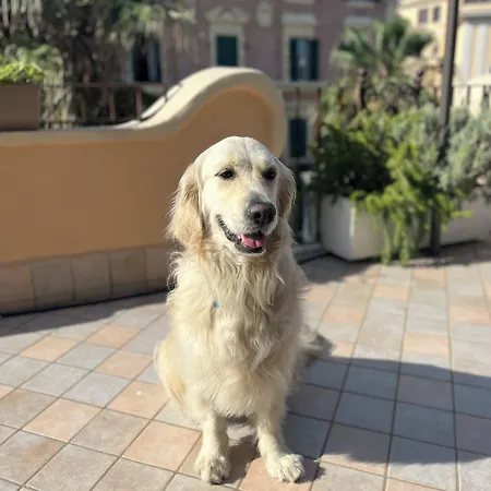 Barocchetto
