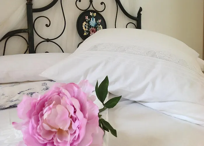 招待所 Barocchetto 菲乌米奇诺