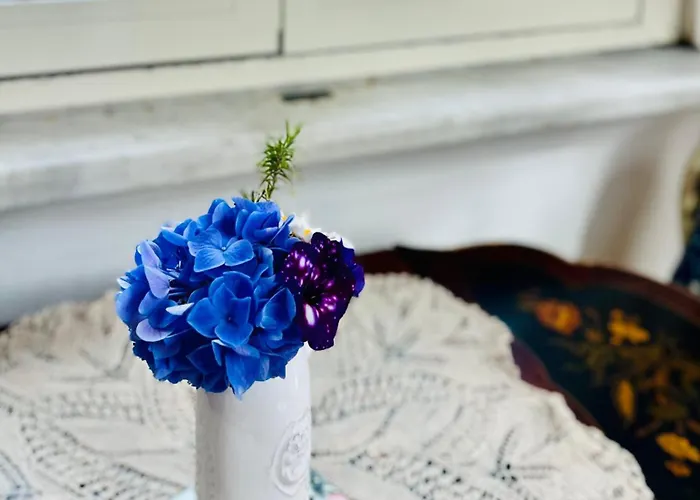 招待所 Barocchetto